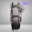 Hobby Horse - skokowy Siwek A4 (4)