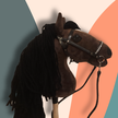 Hobby Horse - Gniady Ozzy A4 (3)