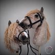 Hobby horse Carmelka- A4 (3)